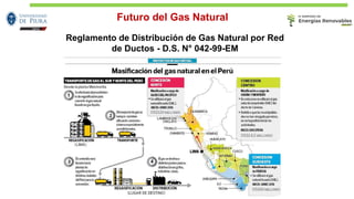 Reglamento de Distribución de Gas Natural por Red
de Ductos - D.S. N° 042-99-EM
Futuro del Gas Natural
 