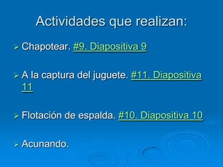 Actividades que realizan:
 Chapotear.   #9. Diapositiva 9

A la captura del juguete. #11. Diapositiva
 11

 Flotación   de espalda. #10. Diapositiva 10

 Acunando.
 