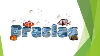 Ambientación y estilo crol en natación 