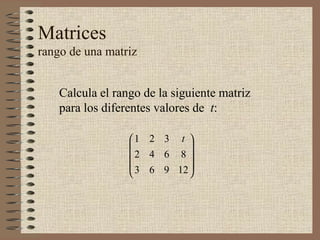 Matrices rango de una matriz Calcula el rango de la siguiente matriz para los diferentes valores de  t : 