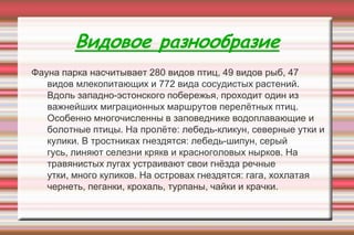 Видовое разнообразие
Фауна парка насчитывает 280 видов птиц, 49 видов рыб, 47
видов млекопитающих и 772 вида сосудистых растений.
Вдоль западно-эстонского побережья, проходит один из
важнейших миграционных маршрутов перелѐтных птиц.
Особенно многочисленны в заповеднике водоплавающие и
болотные птицы. На пролѐте: лебедь-кликун, северные утки и
кулики. В тростниках гнездятся: лебедь-шипун, серый
гусь, линяют селезни крякв и красноголовых нырков. На
травянистых лугах устраивают свои гнѐзда речные
утки, много куликов. На островах гнездятся: гага, хохлатая
чернеть, пеганки, крохаль, турпаны, чайки и крачки.
 