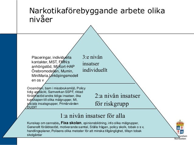 2 flickor undervisar kön videor