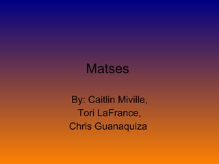 Matses  By: Caitlin Miville, Tori LaFrance, Chris Guanaquiza  