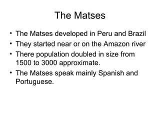 The Matses The Matses developed in Peru and Brazil They started near or on the Amazon river There population doubled in size from 1500 to 3000 approximate. The Matses speak mainly Spanish and Portuguese.  