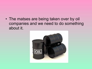 The matses are being taken over by oil companies and we need to do something about it. 