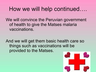 How we will help continued…. We will convince the Peruvian government of health to give the Matses malaria vaccinations.  And we will get them basic health care so things such as vaccinations will be provided to the Matses. 