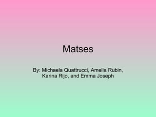 Matses By: Michaela Quattrucci, Amelia Rubin, Karina Rijo, and Emma Joseph 