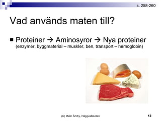 Vad används maten till? Proteiner    Aminosyror    Nya proteiner (enzymer, byggmaterial – muskler, ben, transport – hemoglobin) s. 258-260 