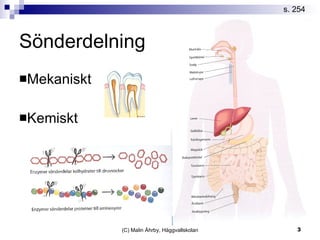 Sönderdelning Mekaniskt Kemiskt s. 254 
