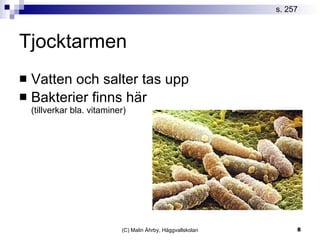 Tjocktarmen Vatten och salter tas upp Bakterier finns här (tillverkar bla. vitaminer) s. 257 