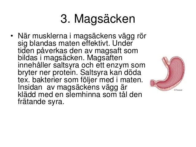 Get Vad Är Regeringens Uppgifter Background