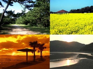 九州シェアリングサミット2018［第5セッション(松田)］