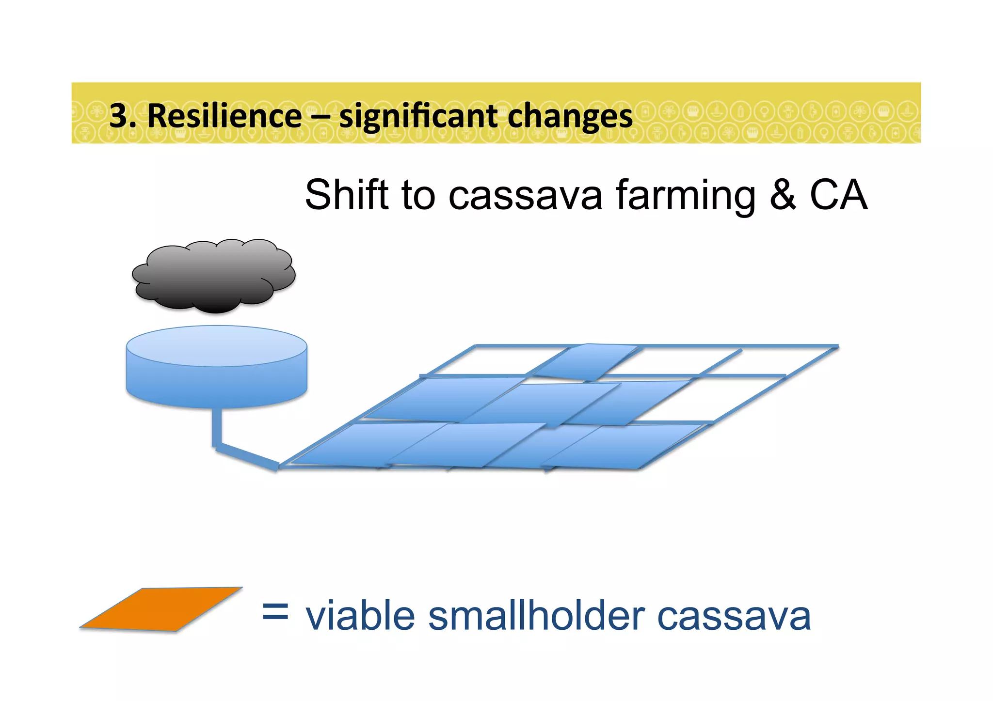 3.	
  Resilience	
  –	
  signiﬁcant	
  changes	
  
Shift to cassava farming & CA
= viable smallholder cassava
 