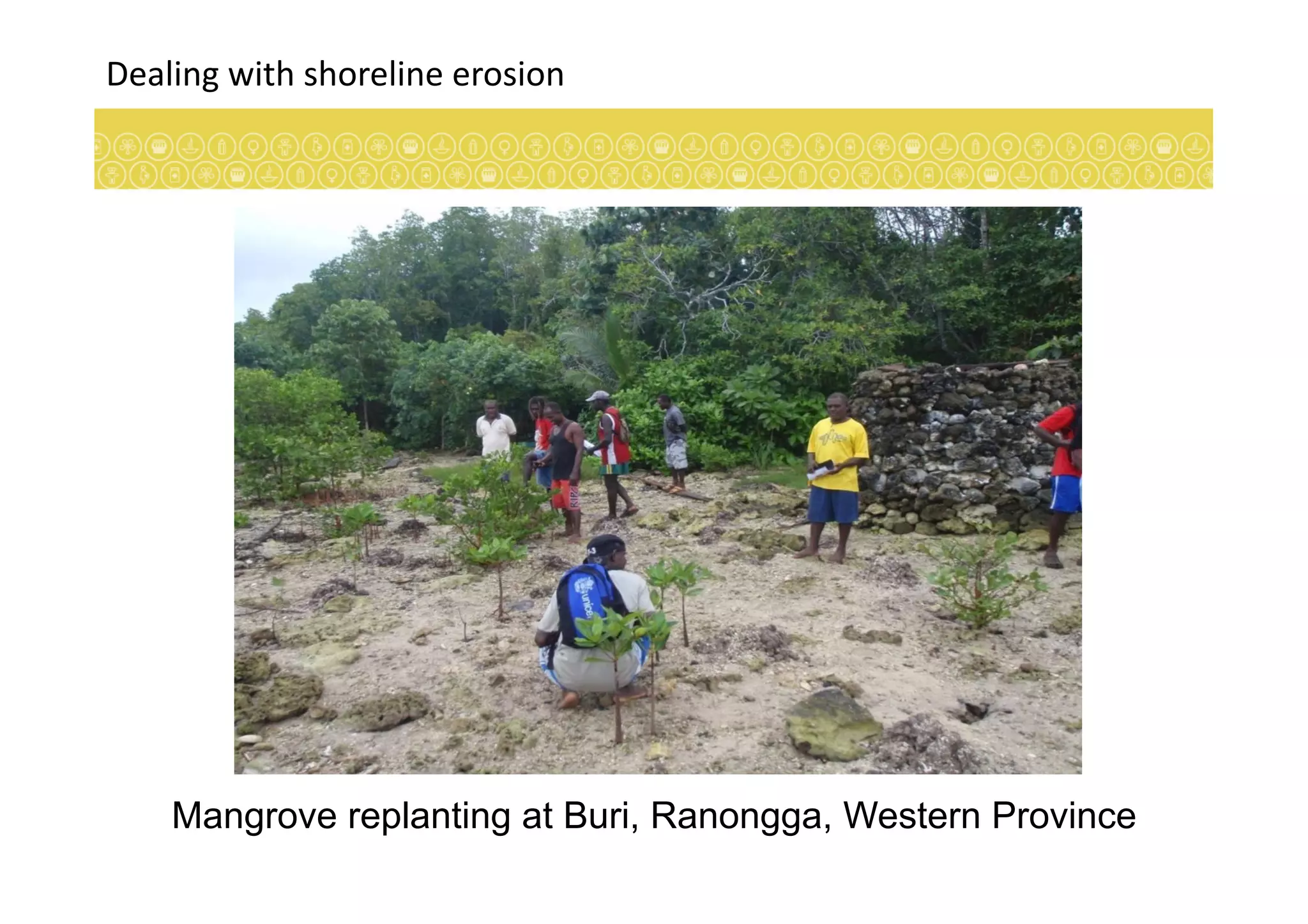 Dealing	
  with	
  shoreline	
  erosion	
  
Mangrove replanting at Buri, Ranongga, Western Province
 