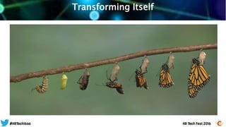 Transforming Itself
 