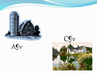 A¶v 
C¶v 
 