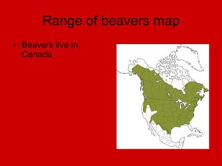 Range of beavers map Beavers live in Canada 