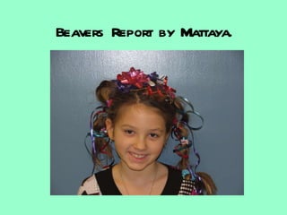 Beavers Report by Mattaya. 