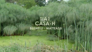 BUSNELLI - MATTEASSI
 