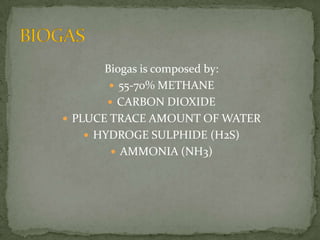 FERMENTATIVE BACTERIA: convertsugar and aminoacidsintoorganicacids; 