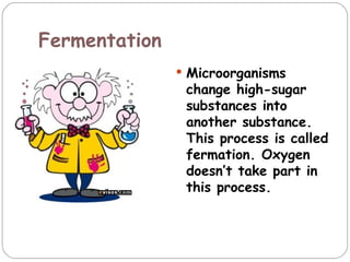 Fermentation
                Microorganisms
                change high-sugar
                substances into
                another substance.
                This process is called
                fermation. Oxygen
                doesn’t take part in
                this process.
 