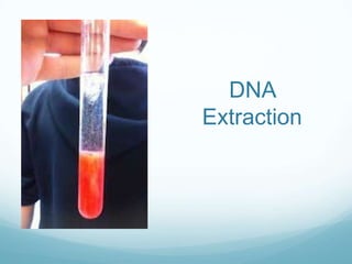 DNA
Extraction
 