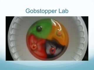 Gobstopper Lab
 