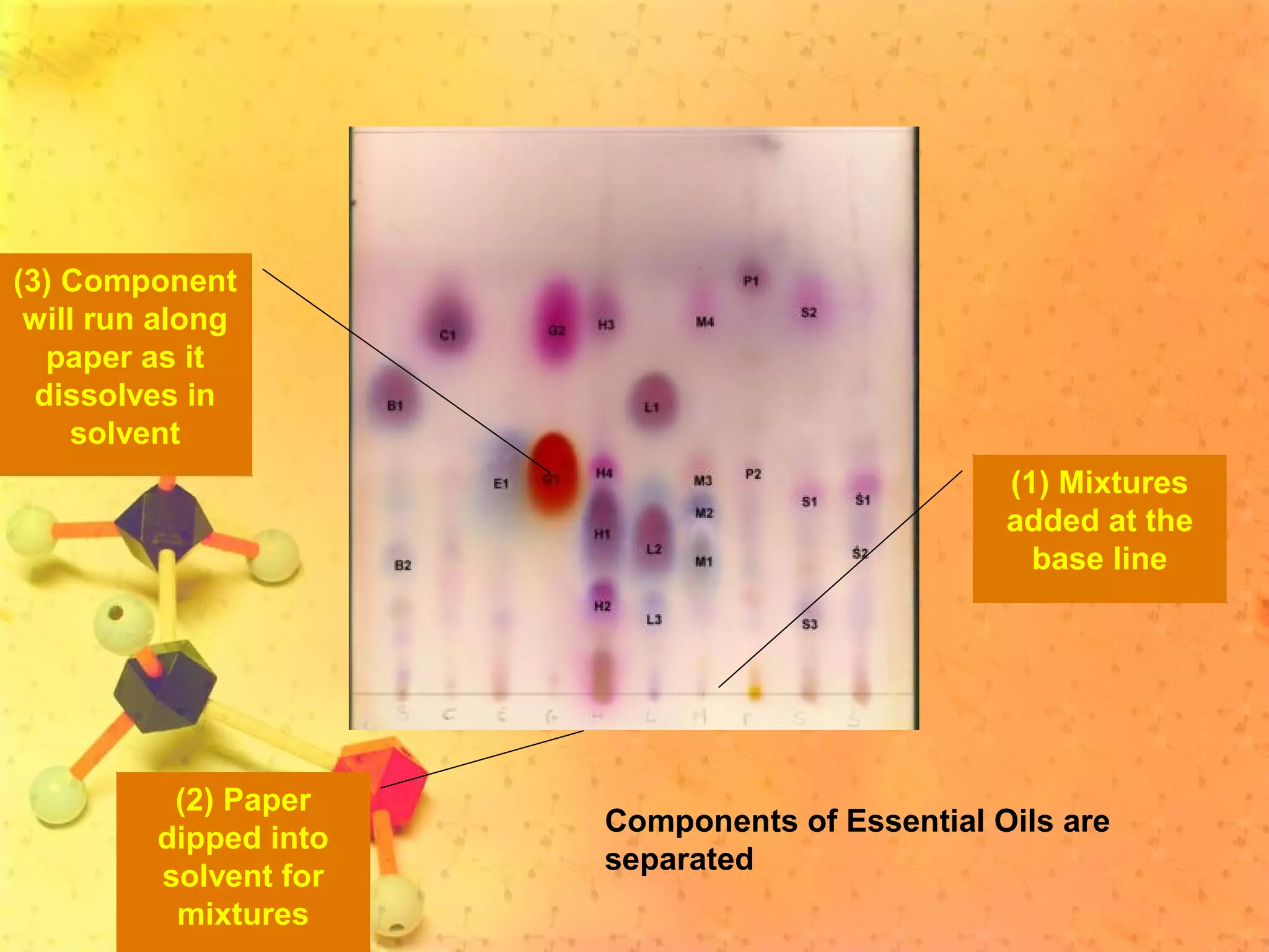 (1) Mixtures
added at the
base line
(2) Paper
dipped into
solvent for
mixtures
(3) Component
will run along
paper as it
dissolves in
solvent
Components of Essential Oils are
separated
 