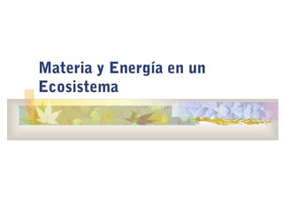 Materia y Energía en un
Ecosistema
 