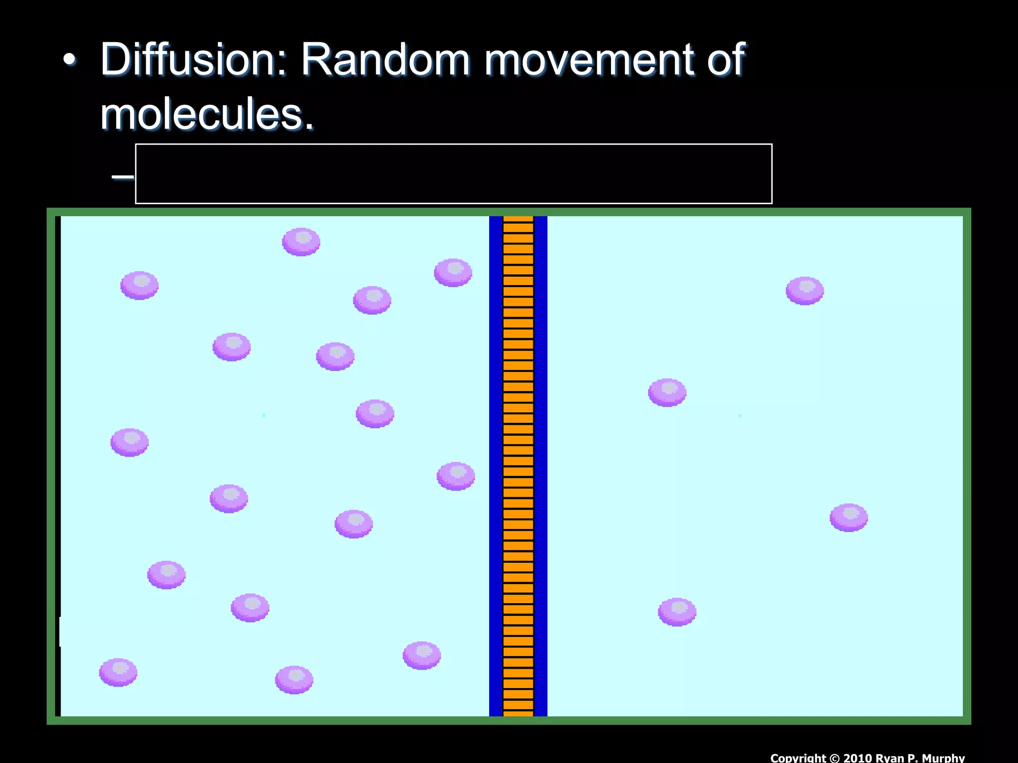 • Diffusion: Random movement of
molecules.
– From high to low concentrations.
Copyright © 2010 Ryan P. Murphy
 