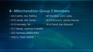 • G5 Cariño, Ma. Fatima
• G10 Javier, Ma. Sarah
• G15 Moralejo, Ski
• G17 Reyes, Joanna Ysabella
• G21 Samson, Claire Erika
• G26 Ty, Trizsa Jasmin
• B7 Da Silva, John Julius
• B12 Francisco, James Harvey
• B16 Oamil, Ken Edward
8- Mitochondrion Group 3 Members
 