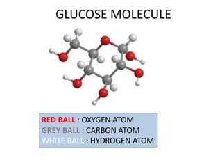 GLUCOSE MOLECULE




RED BALL : OXYGEN ATOM
GREY BALL : CARBON ATOM
WHITE BALL : HYDROGEN ATOM
 