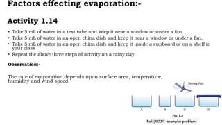 Factors effecting evaporation:-
Activity 1.14
• Take 5 mL of water in a test tube and keep it near a window or under a fan.
• Take 5 mL of water in an open china dish and keep it near a window or under a fan.
• Take 5 mL of water in an open china dish and keep it inside a cupboard or on a shelf in
your class
• Repeat the above three steps of activity on a rainy day
Observation:-
The rate of evaporation depends upon surface area, temperature,
humidity and wind speed
 