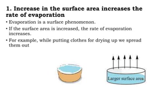 1. Increase in the surface area increases the
rate of evaporation
• Evaporation is a surface phenomenon.
• If the surface area is increased, the rate of evaporation
increases.
• For example, while putting clothes for drying up we spread
them out
 