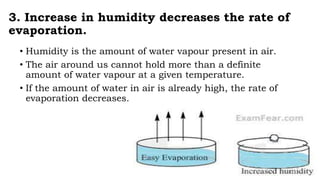 3. Increase in humidity decreases the rate of
evaporation.
• Humidity is the amount of water vapour present in air.
• The air around us cannot hold more than a definite
amount of water vapour at a given temperature.
• If the amount of water in air is already high, the rate of
evaporation decreases.
 