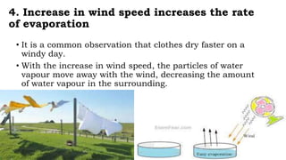 4. Increase in wind speed increases the rate
of evaporation
• It is a common observation that clothes dry faster on a
windy day.
• With the increase in wind speed, the particles of water
vapour move away with the wind, decreasing the amount
of water vapour in the surrounding.
 
