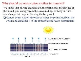 Why should we wear cotton clothes in summer?
We know that during evaporation, the particles at the surface of
the liquid gain energy from the surroundings or body surface
and change into vapour leaving the body cool.
 Cotton, being a good absorber of water helps in absorbing the
sweat and exposing it to the atmosphere for easy evaporation.
 