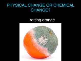 rotting orange
 