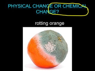 rotting orange
 