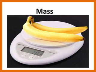 Mass