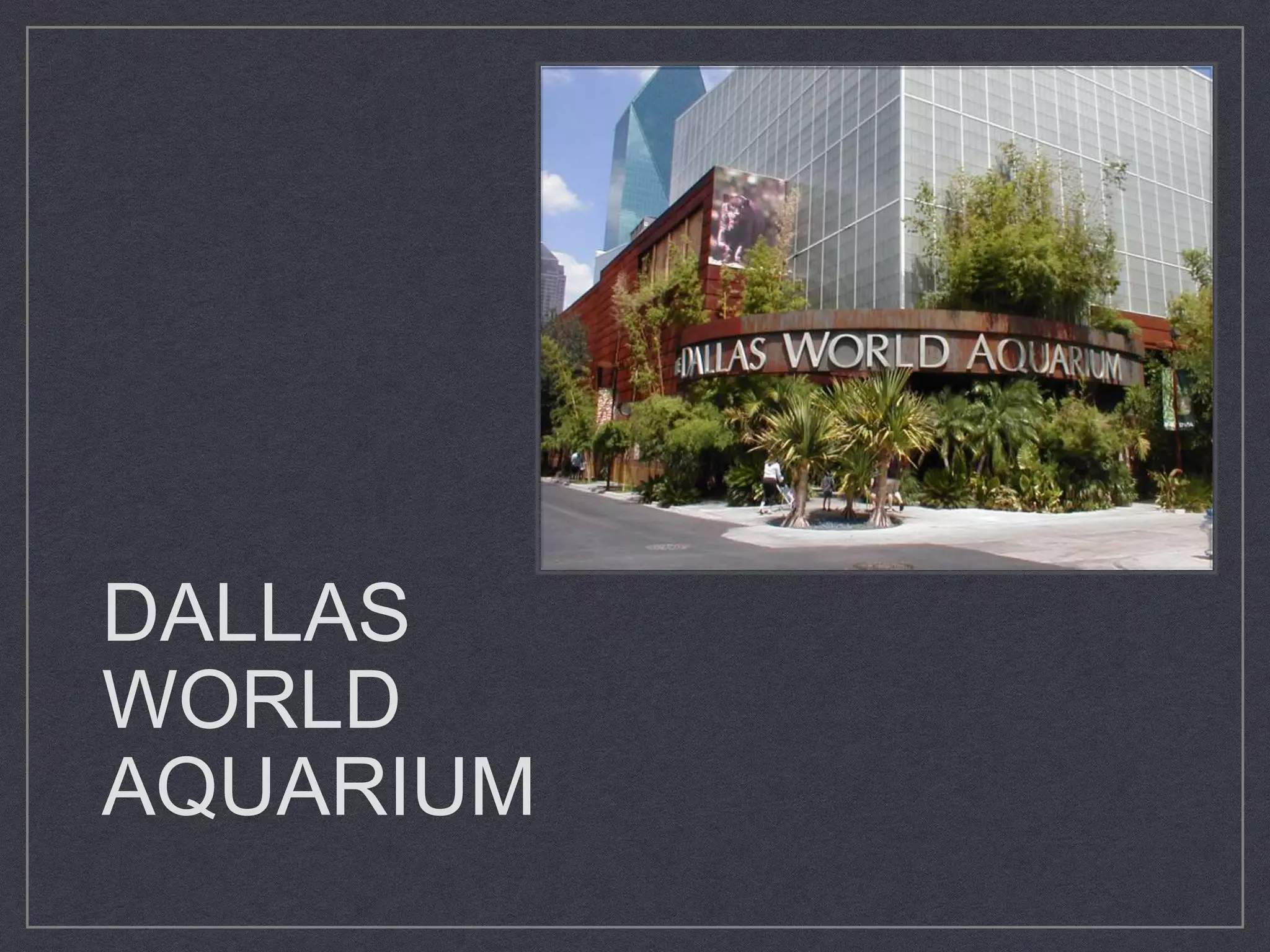 DALLAS
WORLD
AQUARIUM
 