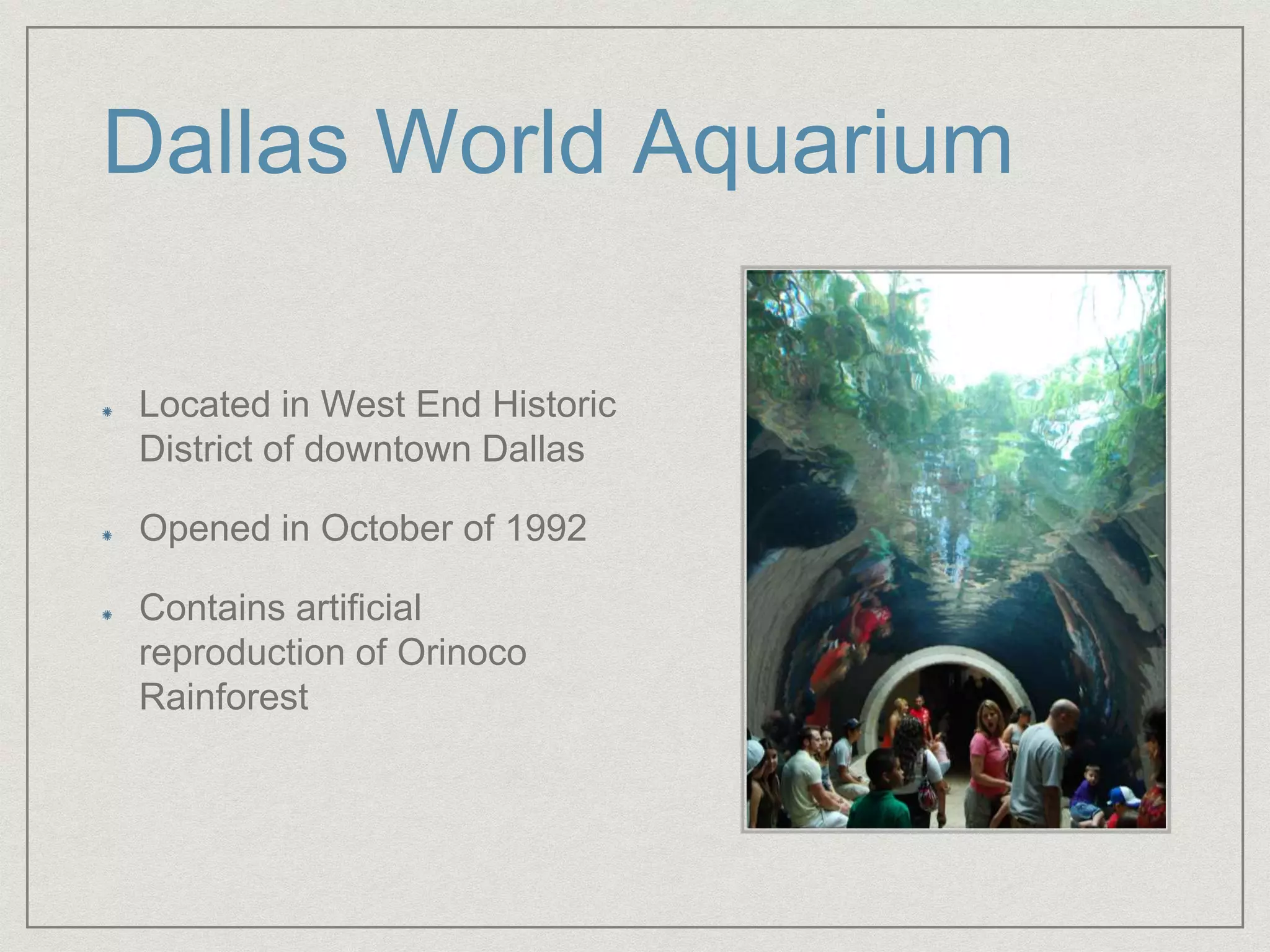 Dallas World Aquarium
Located in West End Historic
District of downtown Dallas
Opened in October of 1992
Contains artificial
reproduction of Orinoco
Rainforest
 