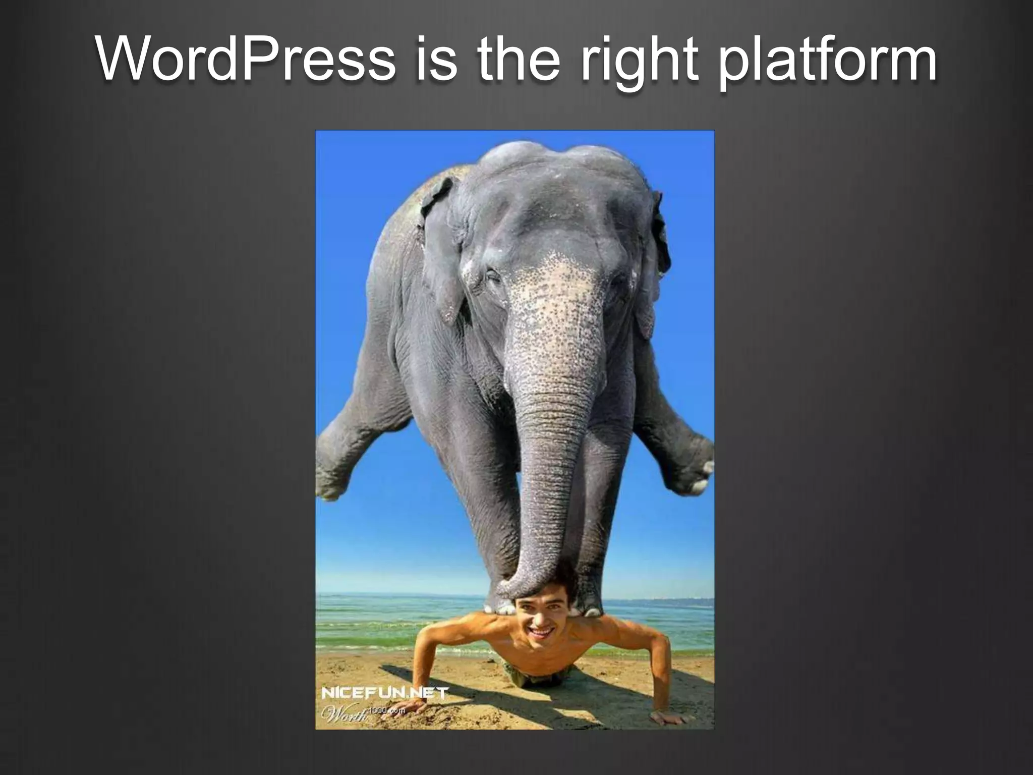 WordPress is the right platform