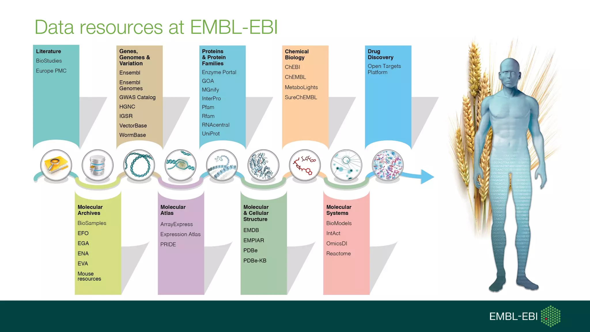 Advanced Bioinformatics for Genomics and BioData Driven Research | PPT