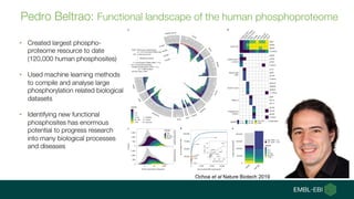 Pedro Beltrao: Functional landscape of the human phosphoproteome
Ochoa et al Nature Biotech 2019
• Created largest phospho...
