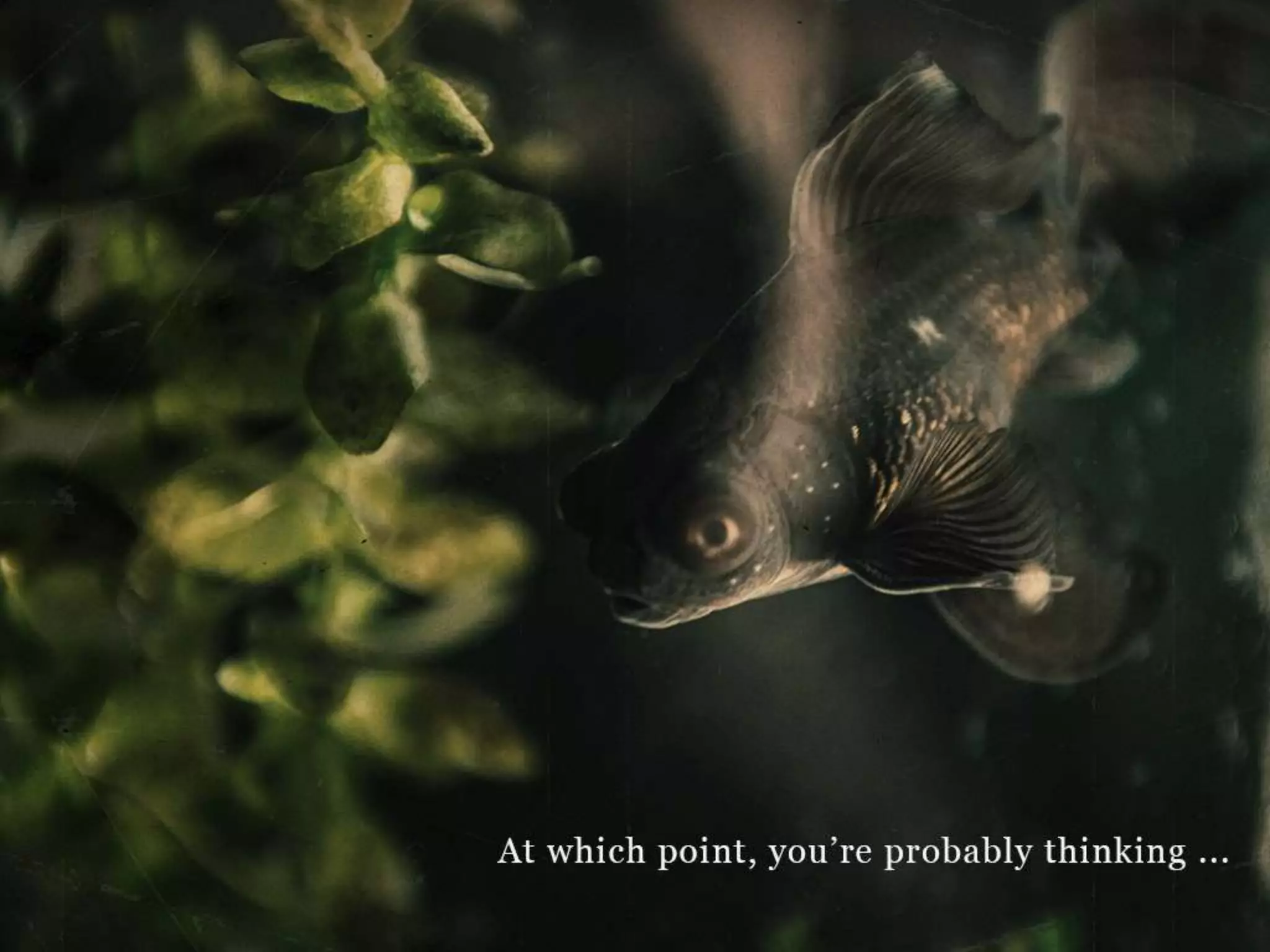 At which point, you’re probably thinking…
 