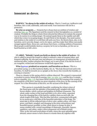 innocent as doves.
BAR ES, "As sheep in the midst of wolves - That is, I send you, inoffensive and
harmless, into a cold, unfriendly, and cruel world. Your innocence will not be a
protection.
Be wise as serpents ... - Serpents have always been an emblem of wisdom and
cunning, Gen_3:1. The Egyptians used the serpent in their hieroglyphics as a symbol of
wisdom. Probably the thing in which Christ directed his followers to imitate the serpent
was in its caution in avoiding danger. No animal equals them in the rapidity and skill
which they evince in escaping danger. So said Christ to his disciples, You need caution
and wisdom in the midst of a world that will seek your lives. He directs them, also, to be
harmless, not to provoke danger, not to do injury, and thus make their fellow-men justly
enraged against them. Doves are, and always have been, a striking emblem of innocence.
Most people would foolishly destroy a serpent, be it ever so harmless, yet few are so
hard-hearted as to kill a dove.
CLARKE, "Behold, I send you forth as sheep in the midst of wolves - He
who is called to preach the Gospel is called to embrace a state of constant labor, and
frequent suffering. He who gets ease and pleasure, in consequence of embracing the
ministerial office, neither preaches the Gospel, nor is sent of God. If he did the work of
an evangelist, wicked men and demons would both oppose him.
Wise (φρονιµοιφρονιµοιφρονιµοιφρονιµοι prudent) as serpents, and harmless as doves - This is a
proverbial saying: so in Shir hashirim Rabba, fol. 16, “The holy blessed God said to the
Israelites, Ye shall be towards me as upright as the doves; but, towards the Gentiles, as
cunning as serpents.”
There is a beauty in this saying which is seldom observed. The serpent is represented
as prudent to excess, being full of cunning, Gen_3:1; 2Co_11:3; and the dove is simple,
even to stupidity, Hos_7:11; but Jesus Christ corrects here the cunning of the serpent, by
the simplicity of the dove; and the too great simplicity of the dove, by the cunning of the
serpent. For a fine illustration of this text, see the account of the Boiga: -
“This species is remarkably beautiful, combining the richest colors of
the finest gems with the splendor of burnished gold, mingled with dark
brown shades, which contrast and heighten its brilliant ornaments. The
whole under surface of the head and body is of a silver white, separated
from the changing blue of the back by a golden chain on each side, the
whole length of the body. This fine blue and silver, ornamented with gold,
by no means give a full idea of the beautiful embroidery of the boiga. We
must take in all the reflected tints of silver color, golden yellow, red, blue,
green, and black, mingled, and changing in the most extraordinary and
beautiful manner possible; so that, when about to change its skin, it
seems studded with a mixed assemblage of diamonds, emeralds, topazes,
sapphires, and rubies, under a thin transparent veil of bluish crystal.
Thus, in the rich and torrid plains of India, where the most splendid gems
abound, nature seems to have chosen to reunite them all, together with
 