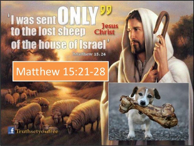 What is the meaning of Matthew 15:21-28 in the Bible?