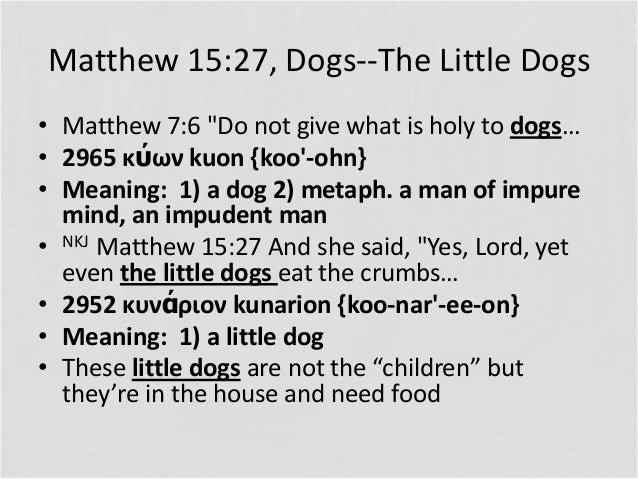 What is the meaning of Matthew 15:21-28 in the Bible?