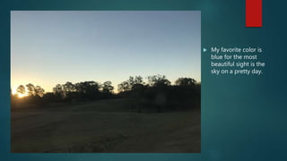  My favorite color is
blue for the most
beautiful sight is the
sky on a pretty day.
 